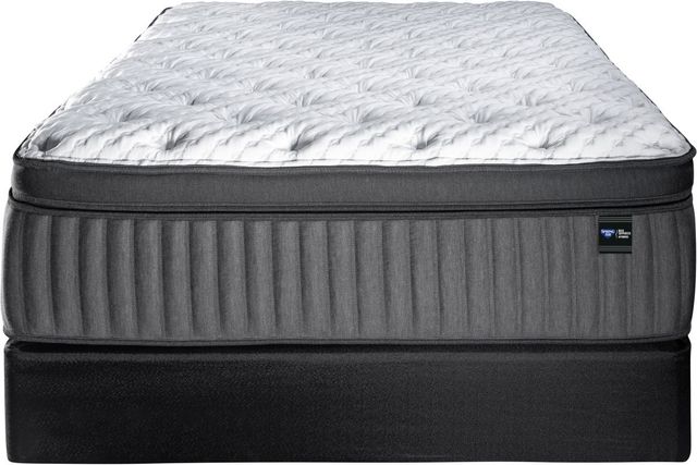 Spring Air® Back Supporter Michelle 16" Hybrid Plush Box Top King Mattress-2