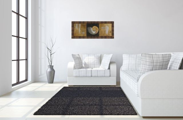 Classy Living Patricia Pinto Seashells Il 18" Wall Art-1