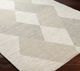 Surya Gavic Ivory 4'x6' Area Rug-1