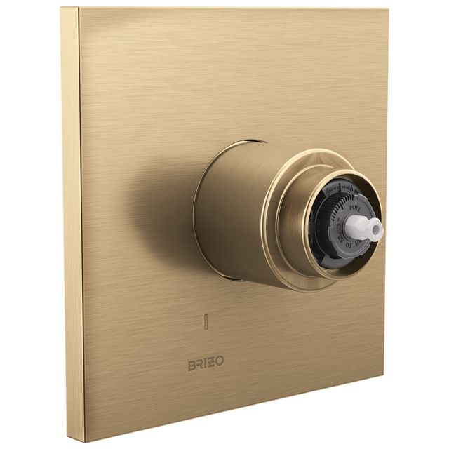 Brizo Frank Lloyd Wright® Brilliance® Luxe Gold® Pressure Balance Valve Trim - Less Handle-1