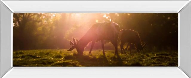 Classy Art Morning Haze by Joe Reynolds Mirror Framed Wall Art-0