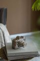 A & B Home Silver Camera Accent-4