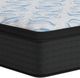 Sierra Sleep® By Ashley® Elite Springs 14" Wrapped Coil Plush Tight Top King Mattress in a Box-1