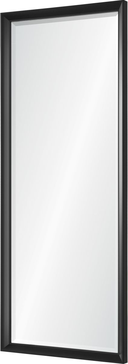 Renwil® Delacorte Black Foil Leaner Mirror-1
