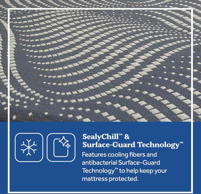 Sealy® Posturepedic® Plus Albany 13" Foam Firm Tight Top Queen Mattress-8