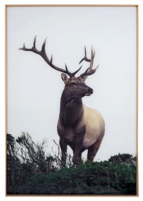 YHD Cervidae Wall Art-0