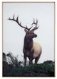 YHD Cervidae Wall Art-0