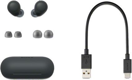 Sony® Black In-Ear Noise-Canceling Headphones-4
