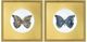 Crestview 2-Piece Golden Wings Wall Art Set-0