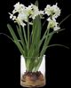 Uttermost® Lacey Daffodil White Accent Arrangement-0