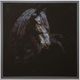 StyleCraft Black Horse Wall Art-0