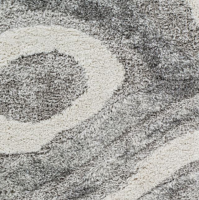Surya Alta 5'x7' Area Rug-4