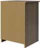 Ameriwood Home Ellwyn Brown Stanton Ash Nightstand with Drawer-3