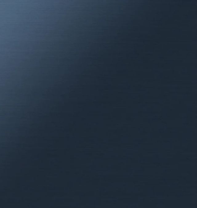Samsung BESPOKE 24" Navy Steel Dishwasher Panel-0