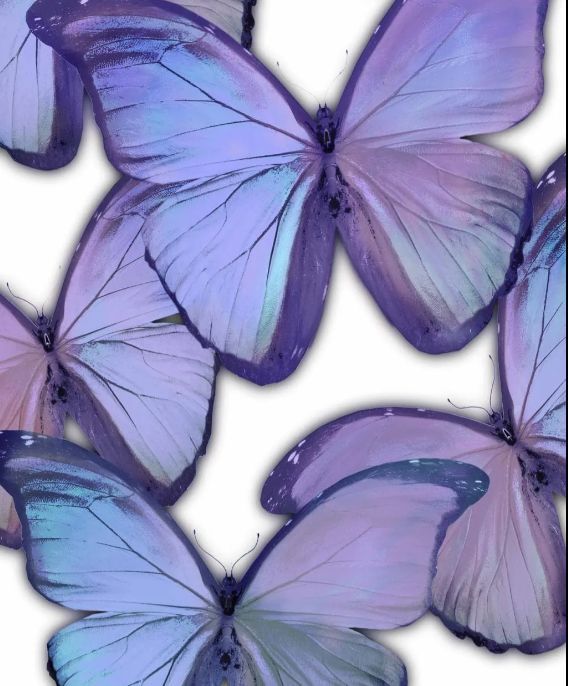 Classy Art Style 5 Gallery Wrapped Giclee on Canvas Wall Art-1