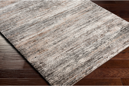 Surya Montana Multi-Colored 8'x10' Area Rug-4