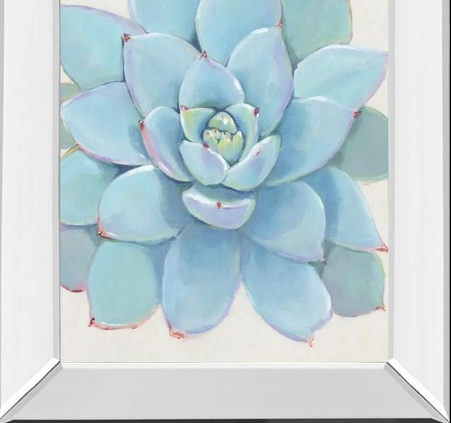 Classy Art Pastel Succulent I by Tim OToole Mirror Framed Wall Art-1