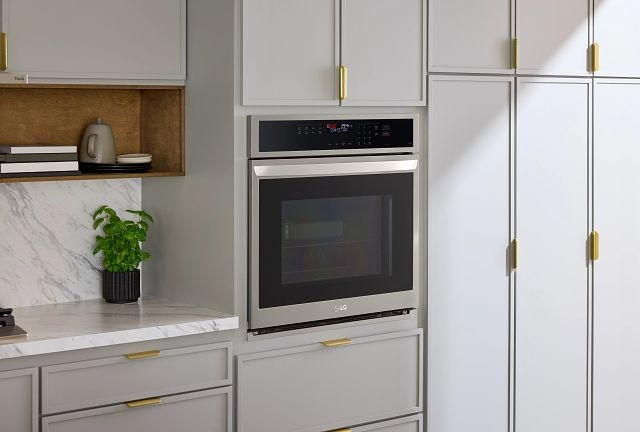 Food baking inside a convection oven with fan visible Food baking inside a convection oven with fan visible
