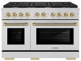 Champagne Bronze-Stainless Steel