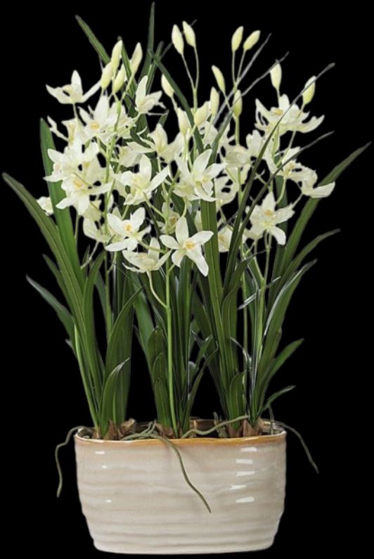 Uttermost® Ariana Orchid White Planter-2