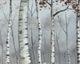 Crestview Collection Backwoods Brown Wall Art -1