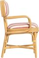 TOV Furniture Dorine Beige/Cherry/Natural Dining Arm Chair-4