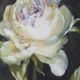 Uttermost® Danhui Nai 4-Piece Florals on Black Framed Prints Set-4