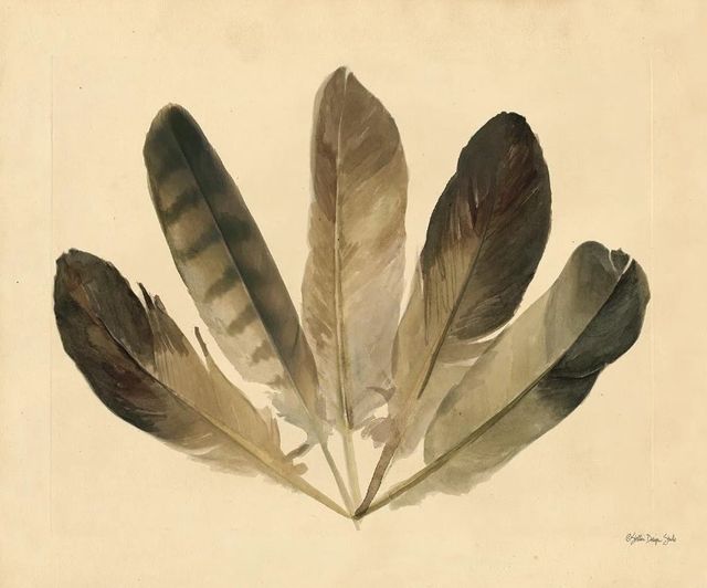 Classy Art Five Feathers by Stellar Design Studio Wall Art-0