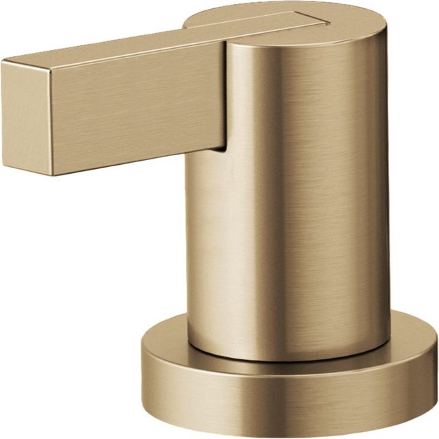 Brizo Litze® Brilliance® Luxe Gold® Roman Tub Extended Lever Handle Kit-0