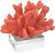 A & B Home Red Inna Faux Elkhorn Coral-0