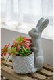 A & B Home Gray Rabbit Planter-4