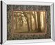 Classy Living Dennis Frate Woodland Sweep Wall Art-3