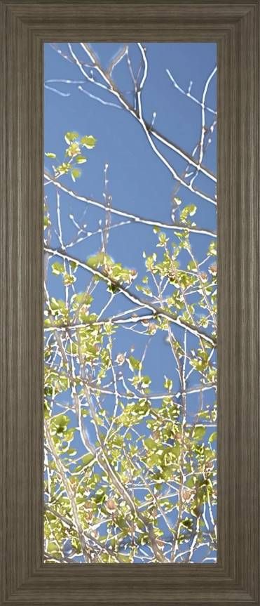 Classy Art Spring Poplars IV by Sharon Chandler Wall Art-0