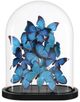 Currey & Company Rue de Bac Blue Large Butterflies-0