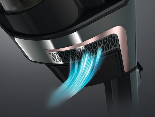 Miele TriFlex Fine Dust Filter-3