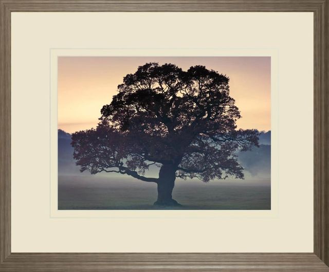 Classy Art Evening Wisdom By Assaf Frank Wall Art-1