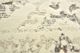 Feizy Azeri_III Cream/Gray 10' x 13'2" Rug-2