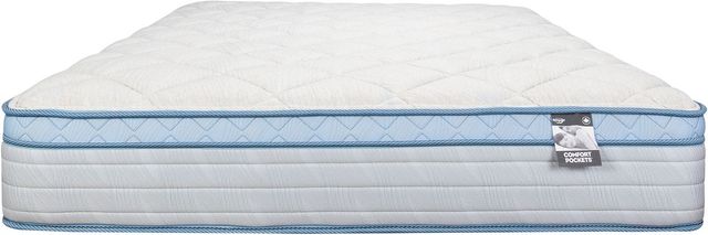 Springwall® Duncan 12" Wrapped Coil Medium Plush Euro Top Queen RV Mattress-2