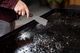 Blackstone® Cleaning Kit -4