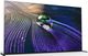 Sony® A90J 83" Bravia XR 4K Ultra HD OLED Smart TV-1