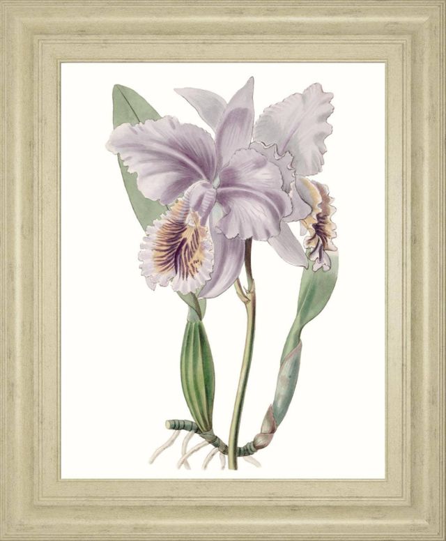 Classy Living Edwards Lavender Beauties II Wall Art-0