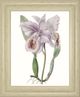 Classy Living Edwards Lavender Beauties II Wall Art-0
