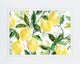 Classy Living Carol Robinson Lemony Branches Wall Art-2