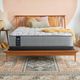 Sealy® Posturepedic® Lavina II Innerspring Soft Tight Top Full Mattress-1