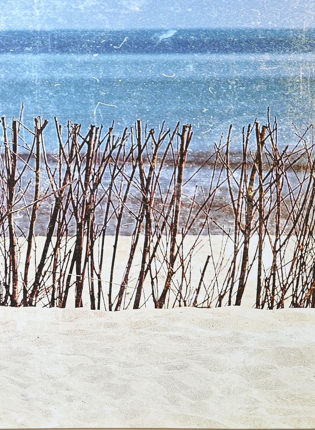 Stylecraft Norman Wyatt Vintage Beach Memories II Wall Art-1