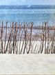 Stylecraft Norman Wyatt Vintage Beach Memories II Wall Art-1