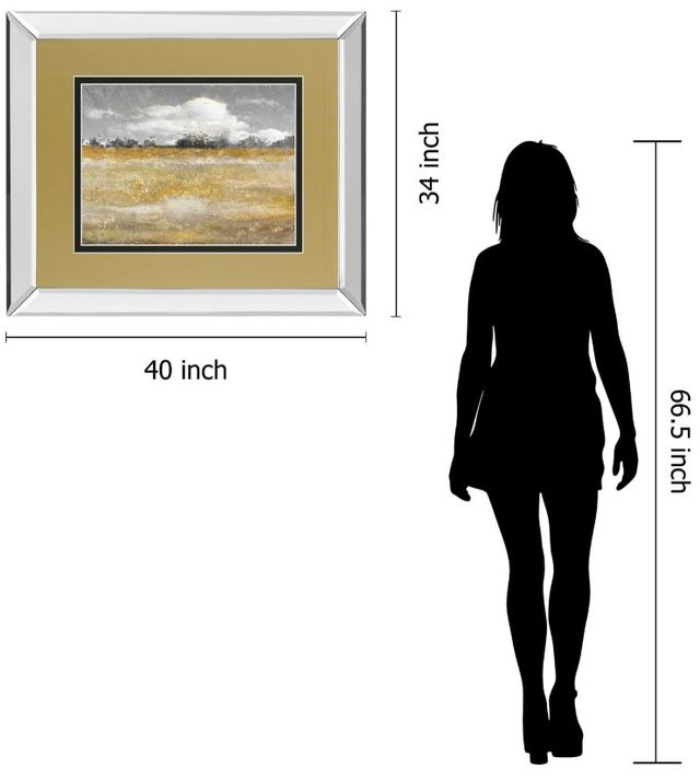 Classy Art Meadow Shimmer Il by Nan Mirror Framed Wall Art-2