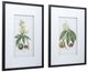 A & B Home 2-Piece Black/White Botanical Wall Art Set-0