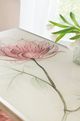 Hooker® Furniture Susan G. Komen Glass Top Blossoming Hope Cocktail Table with Gold Base-4