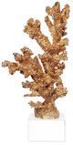 A & B Home Golden Coral Accent on Clear Base-2
